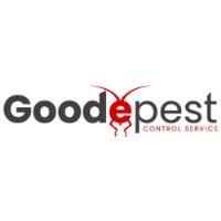 Goode Wasp Removal Adelaide image 1